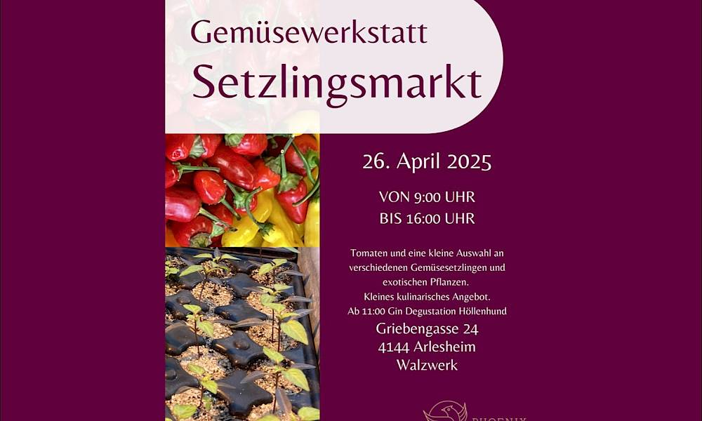 Phoenix Garten lädt ein zum Gemüsewerkstatt-Setzlingsmarkt! – 